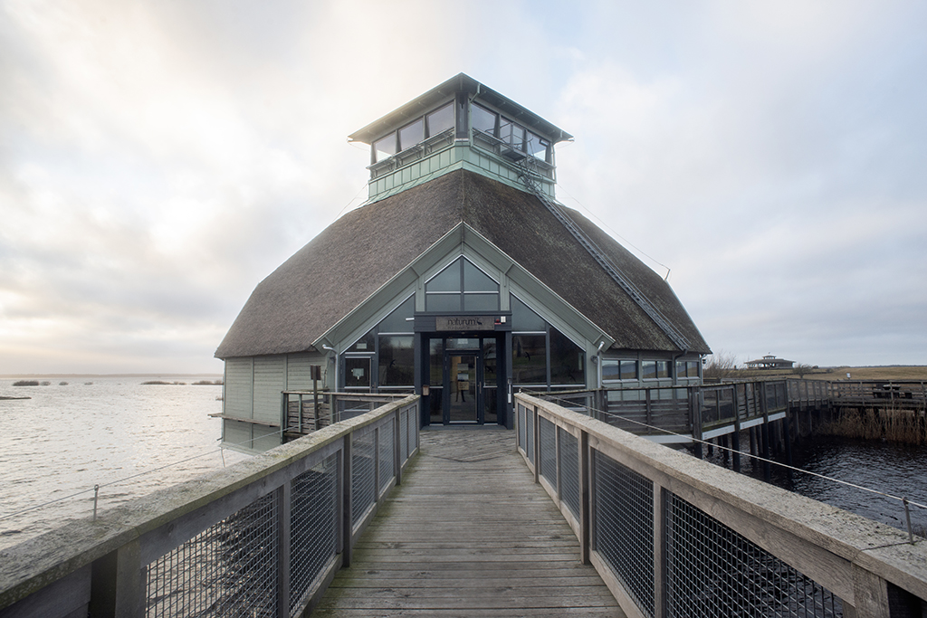 Byggnaden naturum Hornborgasjön är byggd på pålar i vattnet vid Hornborgasjön