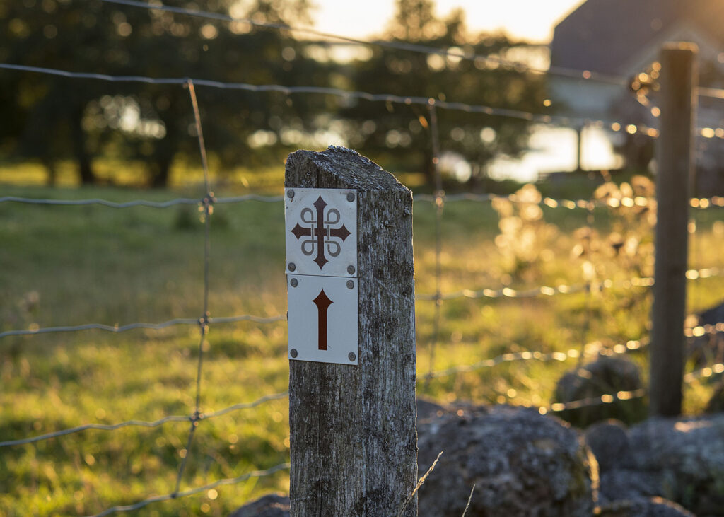 The pilgrim trail. Photo.